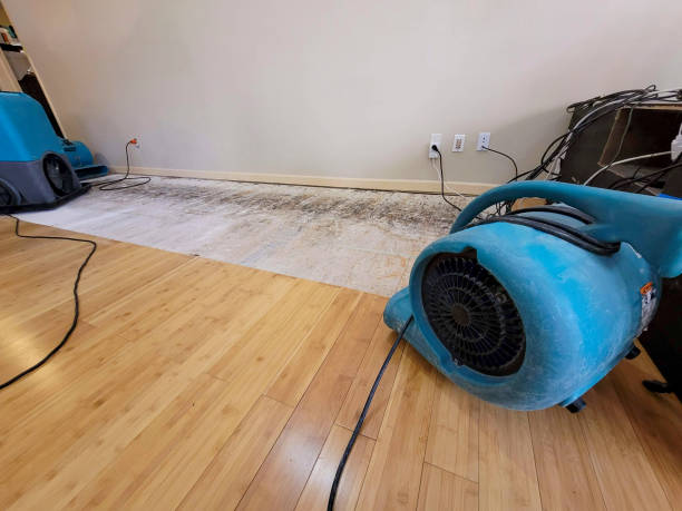 Professional Water Extraction technician working in Hilltop, MN